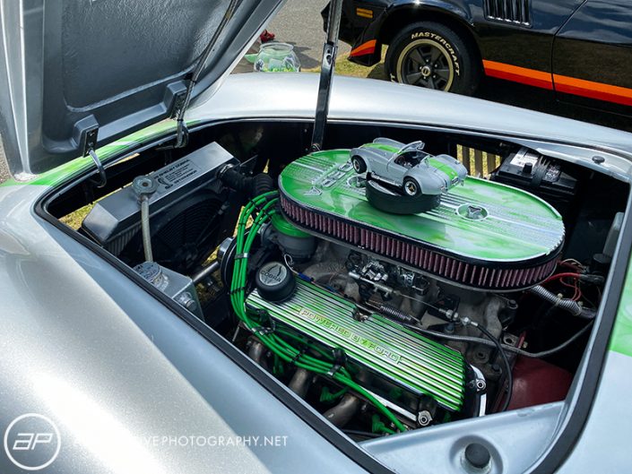 Shelby Cobra Custom - Engine